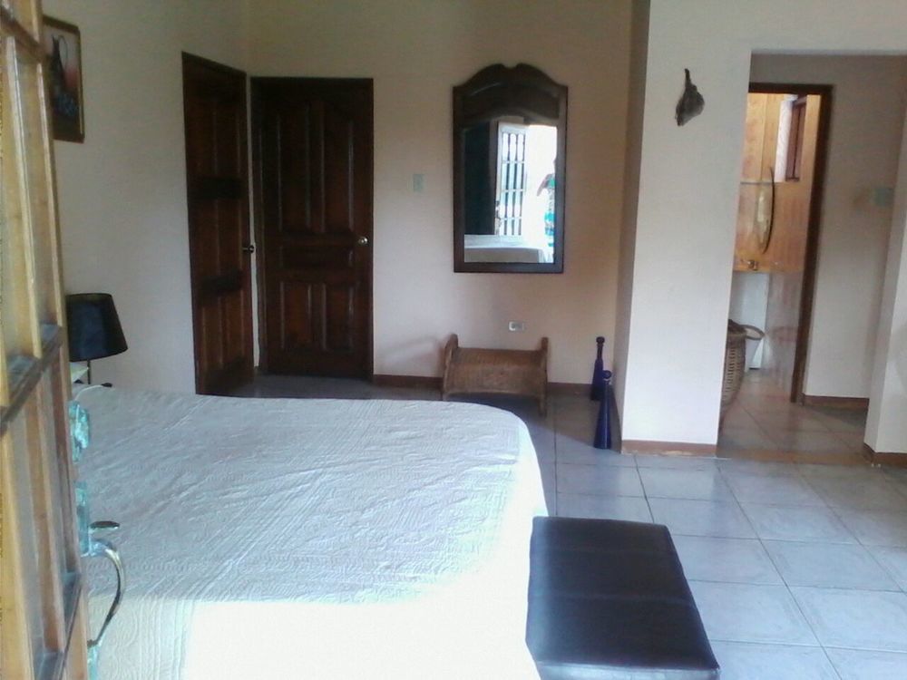 Dolphin Bay Yoga Guest House Drapers Exterior foto